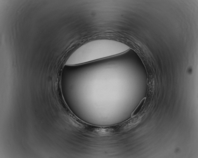 X0000100760558200806190912