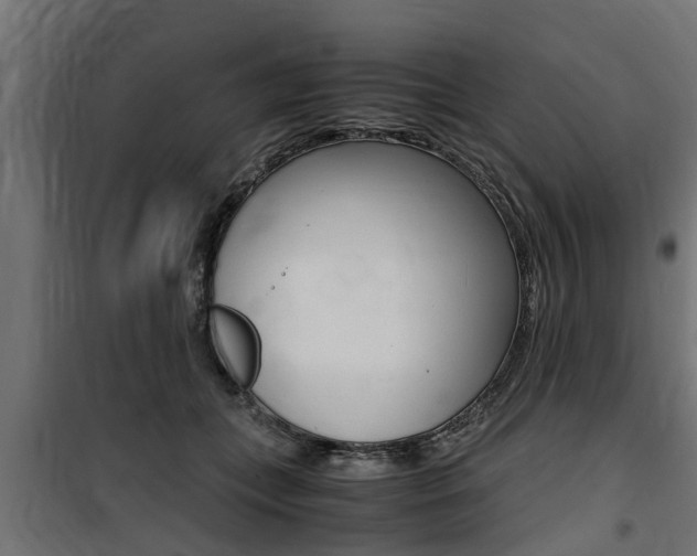 X0000100760559200806190912