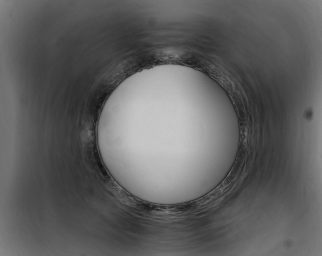 X0000100760561200806190912