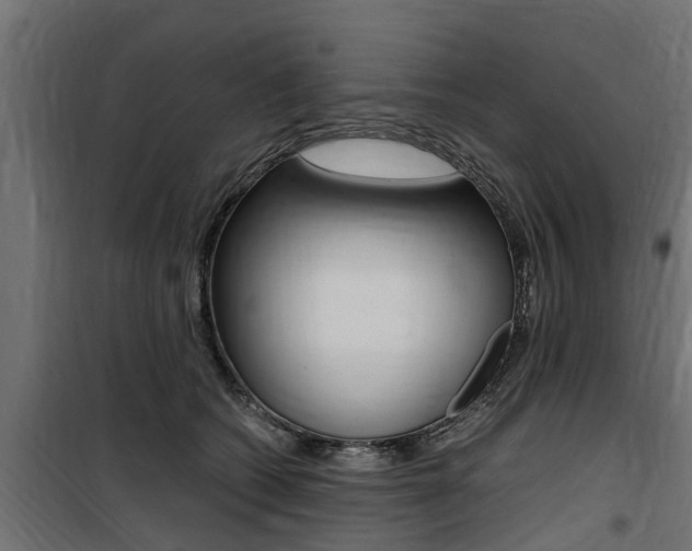 X0000100760562200806190912