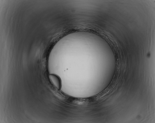 X0000100760563200806190912