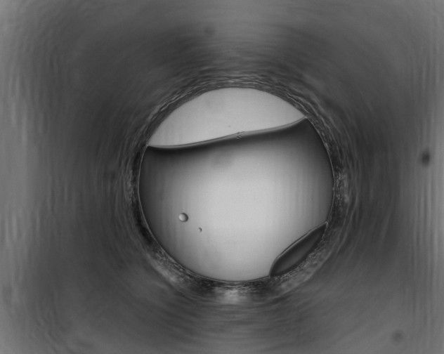 X0000100760564200806190912