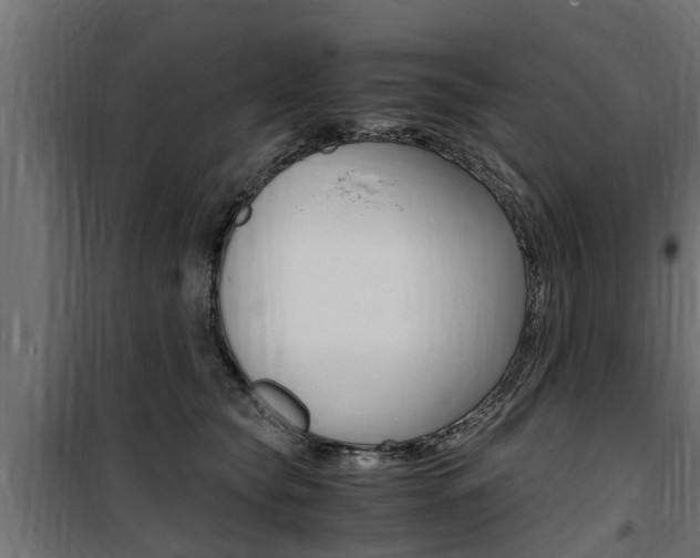 X0000100760565200806190912