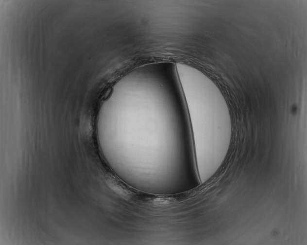 X0000100760566200806190912