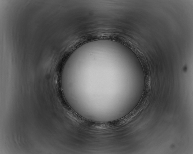 X0000100760567200806190912