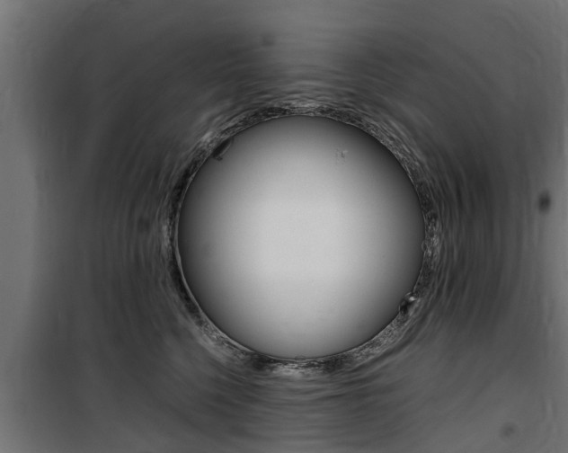 X0000100760568200806190912