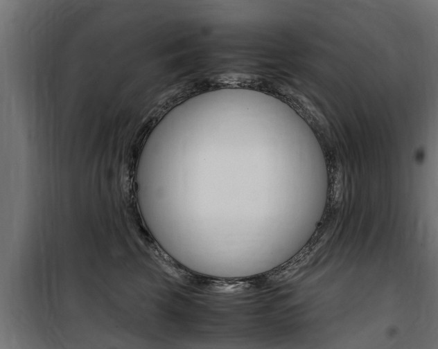 X0000100760569200806190912