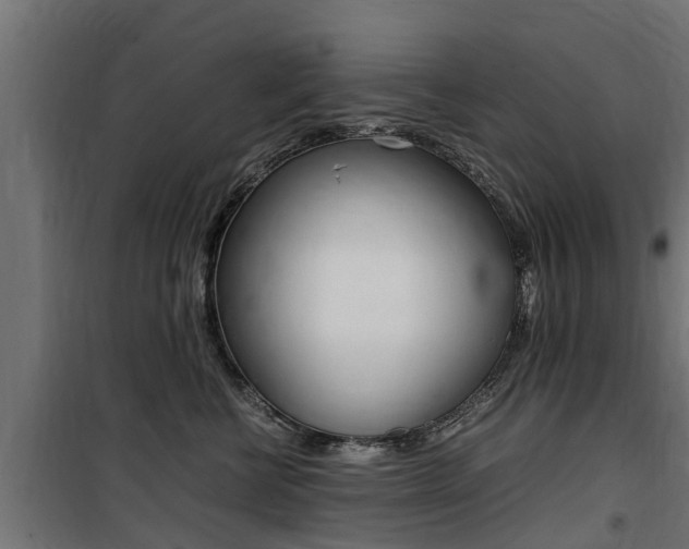 X0000100760570200806190912