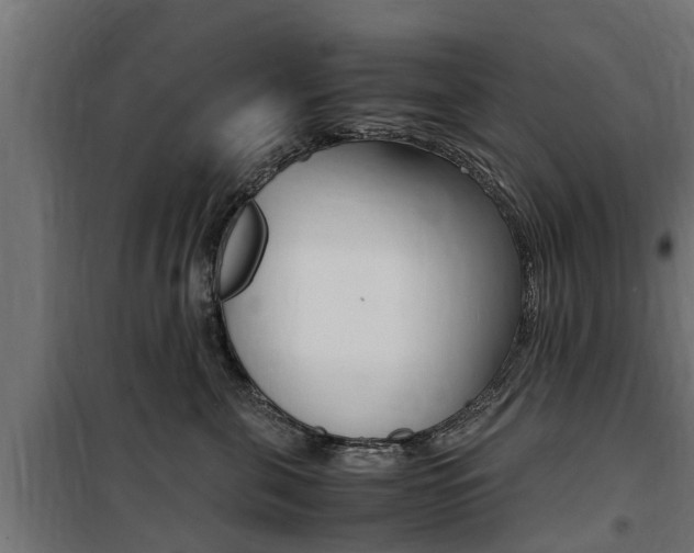 X0000100760571200806190912