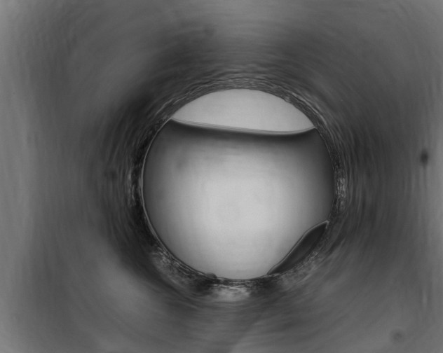 X0000100760572200806190912