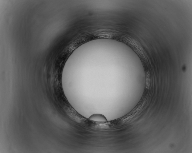 X0000100760573200806190912