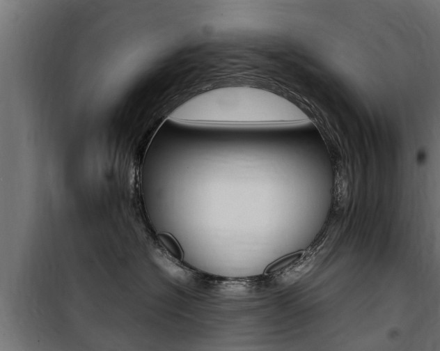 X0000100760574200806190912