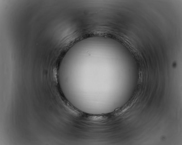 X0000100760575200806190912