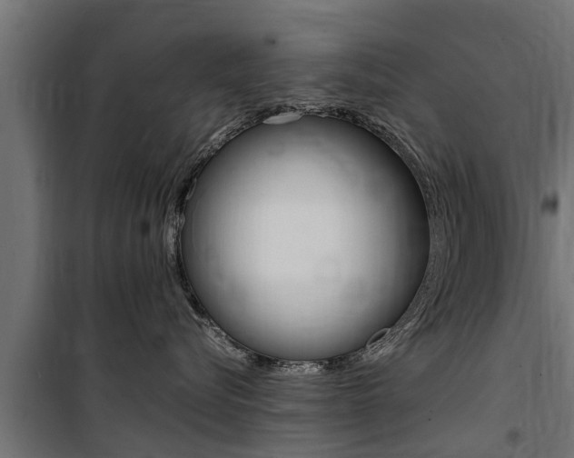 X0000100760576200806190912