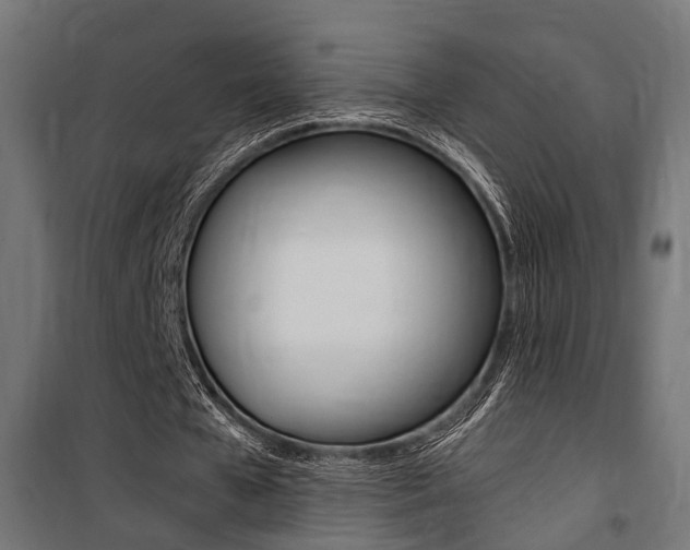 X0000100760577200806190911