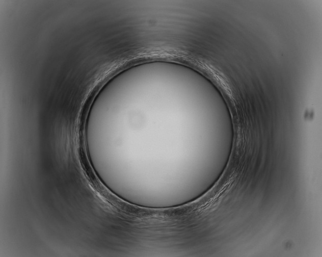 X0000100760578200806190911