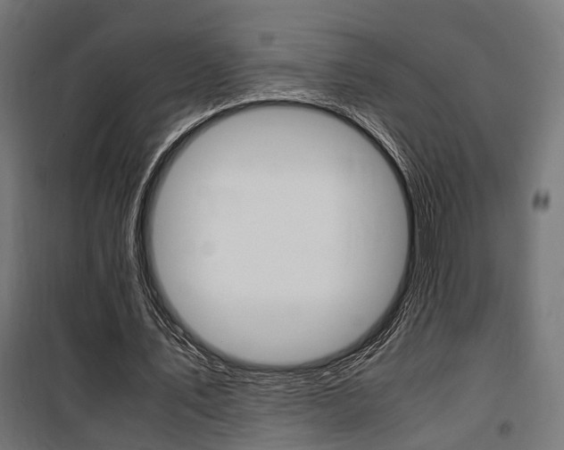 X0000100760579200806190911