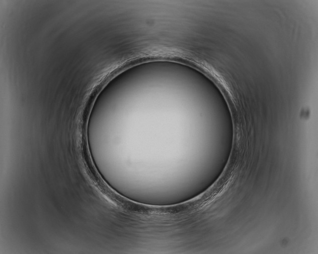 X0000100760581200806190911