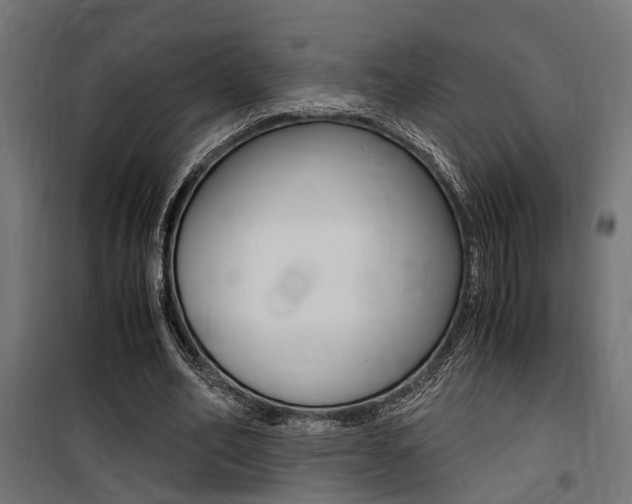 X0000100760582200806190911