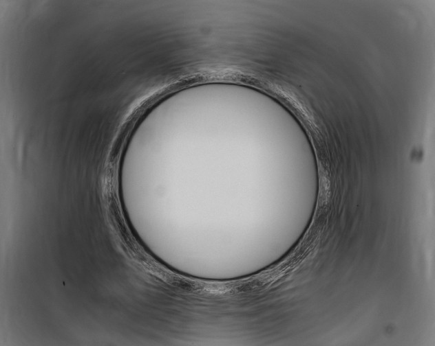 X0000100760583200806190911