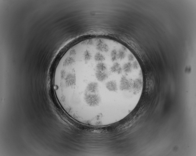 X0000100760584200806190911