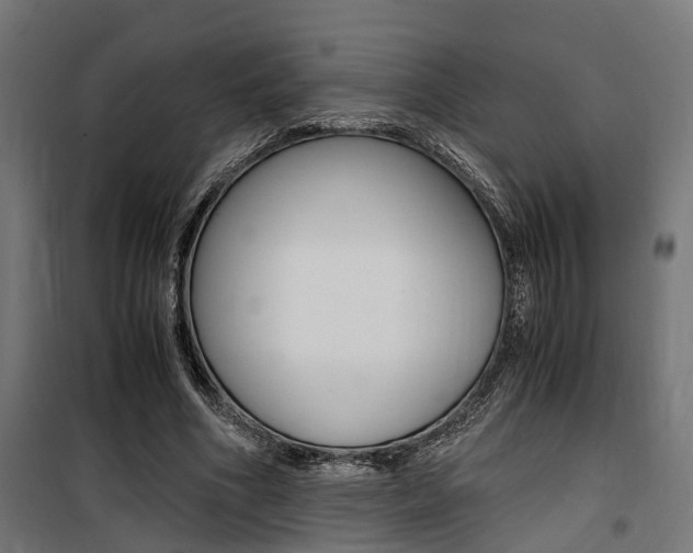 X0000100760586200806190911