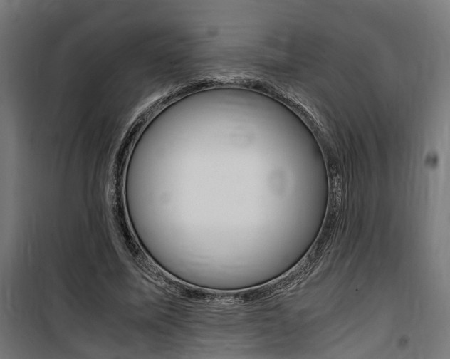 X0000100760587200806190911