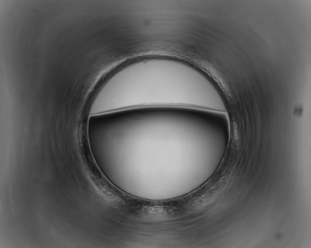 X0000100760588200806190911