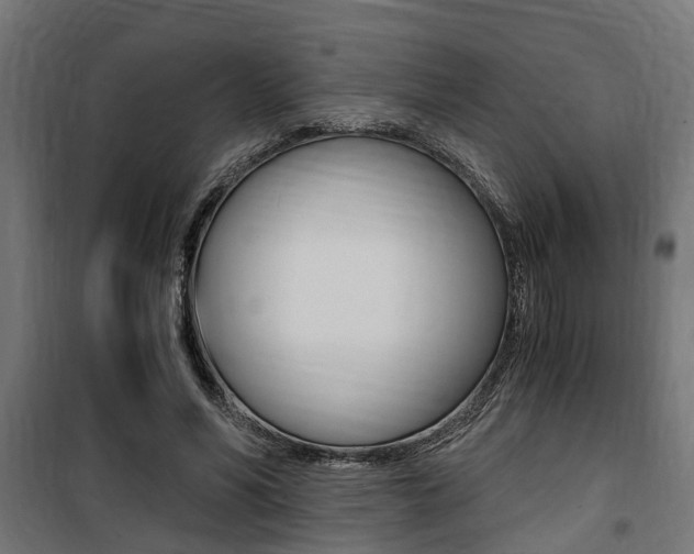 X0000100760590200806190911