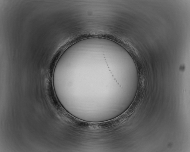 X0000100760591200806190911