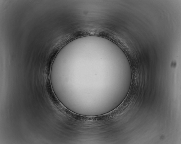 X0000100760594200806190911