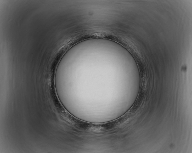 X0000100760595200806190911