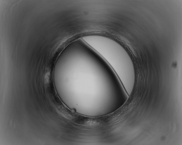 X0000100760596200806190911