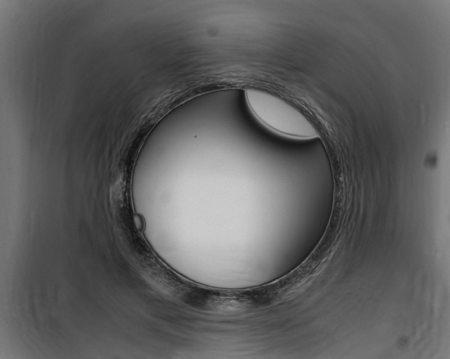 X0000100760597200806190911