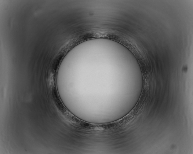 X0000100760598200806190911