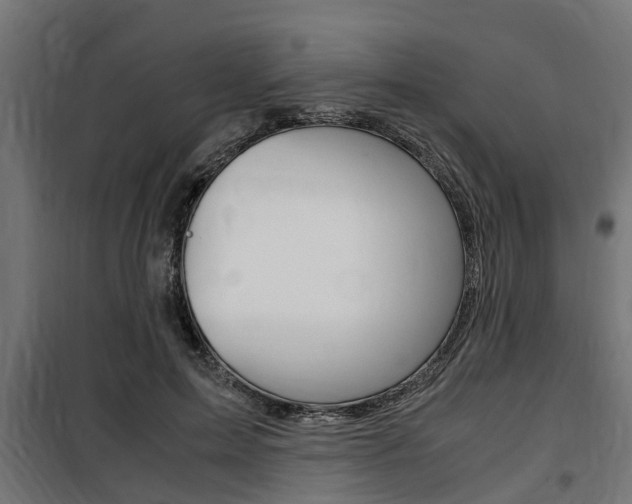 X0000100760599200806190911