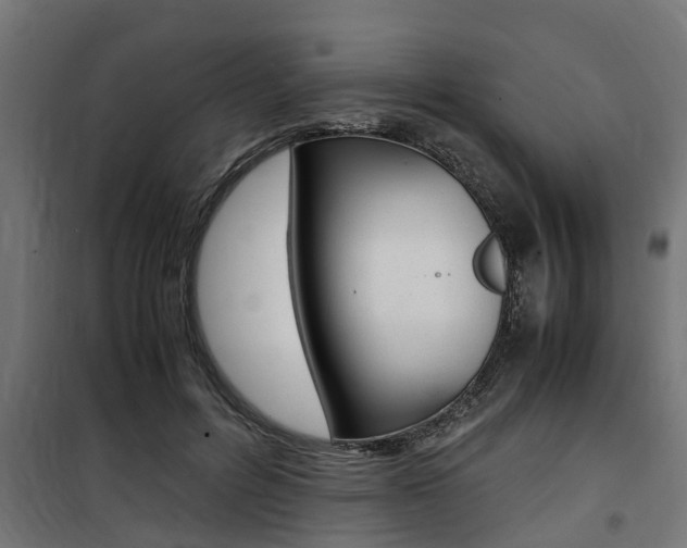 X0000100760600200806190911