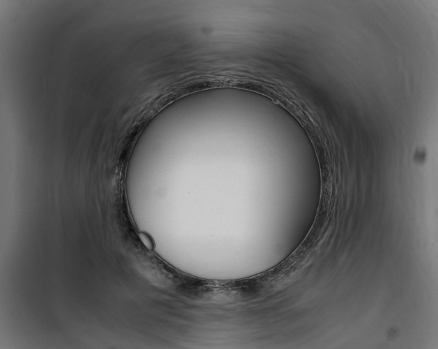 X0000100760601200806190911