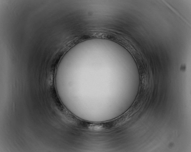 X0000100760602200806190911