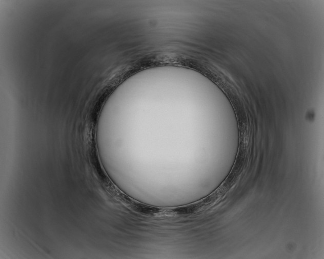 X0000100760603200806190911