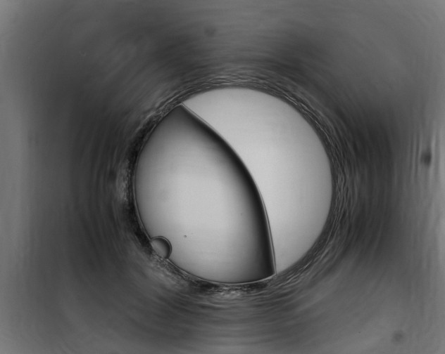 X0000100760604200806190911