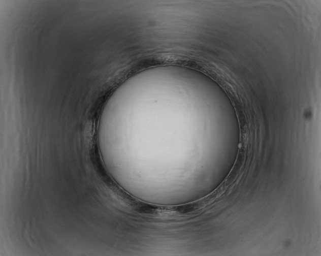 X0000100760605200806190911