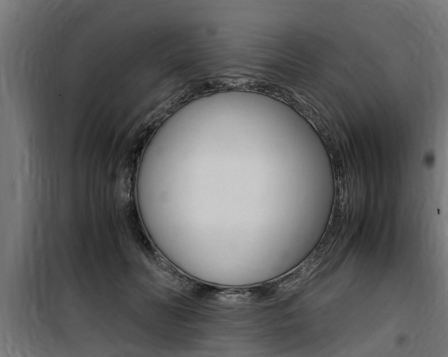 X0000100760606200806190911