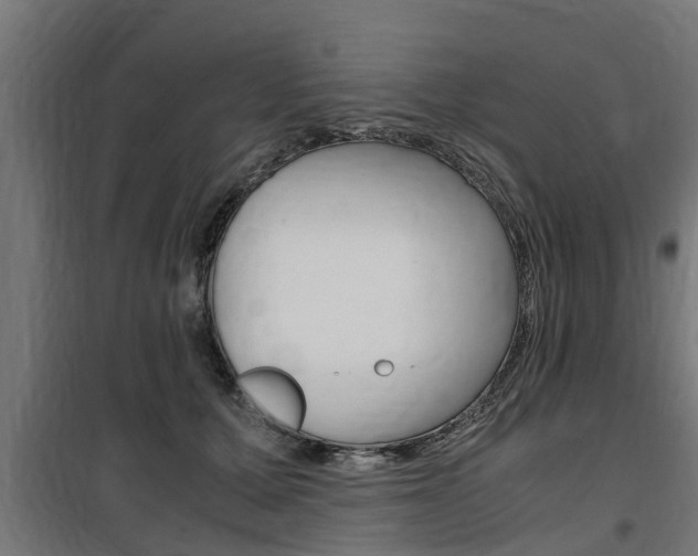 X0000100760607200806190910