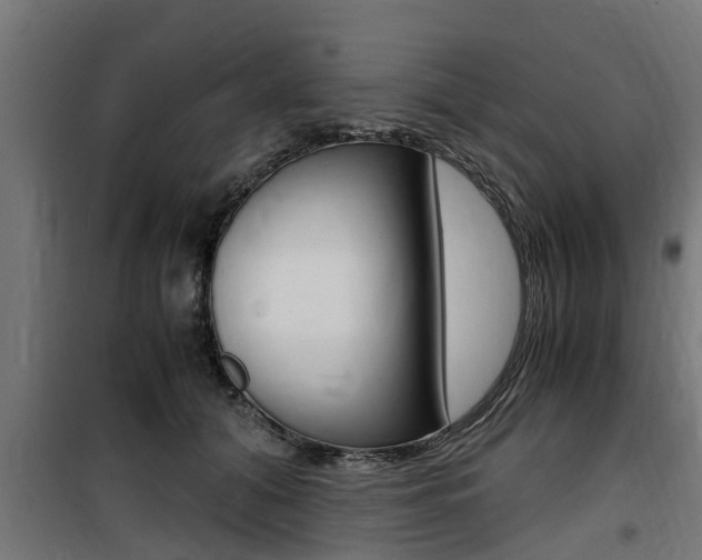 X0000100760608200806190910