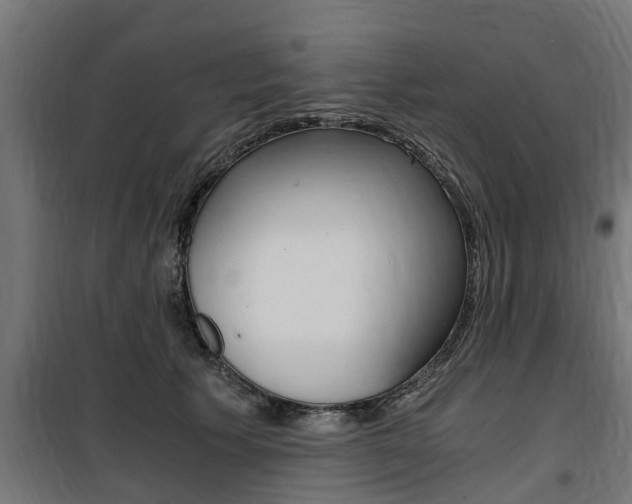 X0000100760609200806190910