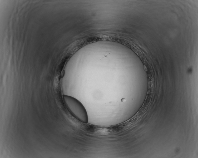 X0000100760611200806190910