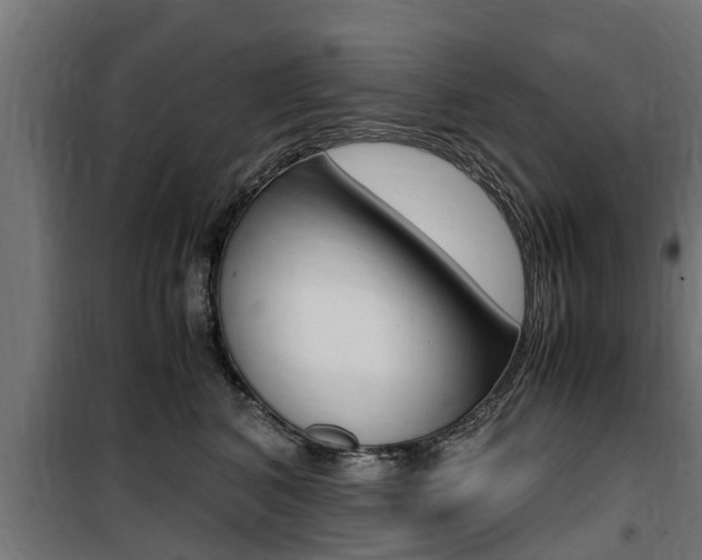 X0000100760616200806190910