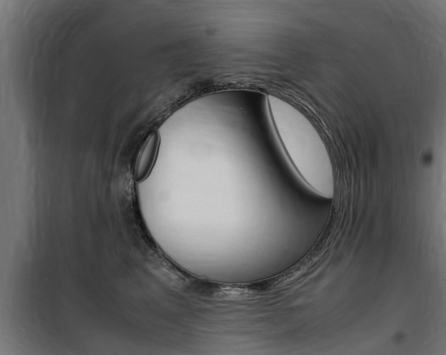 X0000100760617200806190910