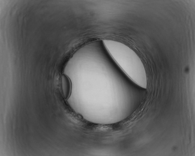 X0000100760619200806190910